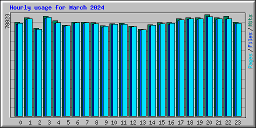 Hourly usage for March 2024