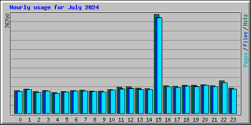 Hourly usage for July 2024