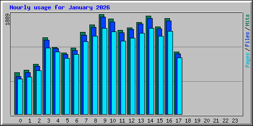 Hourly usage for January 2026