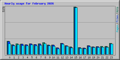 Hourly usage for February 2026
